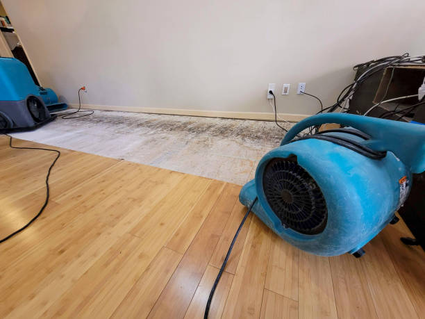 Professional Flood Damage Cleanup technician working in Warren, MA
